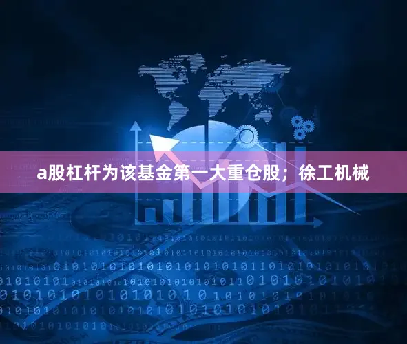 a股杠杆为该基金第一大重仓股；徐工机械